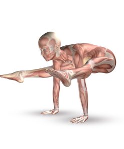 بازسازی و اصلاح بدن