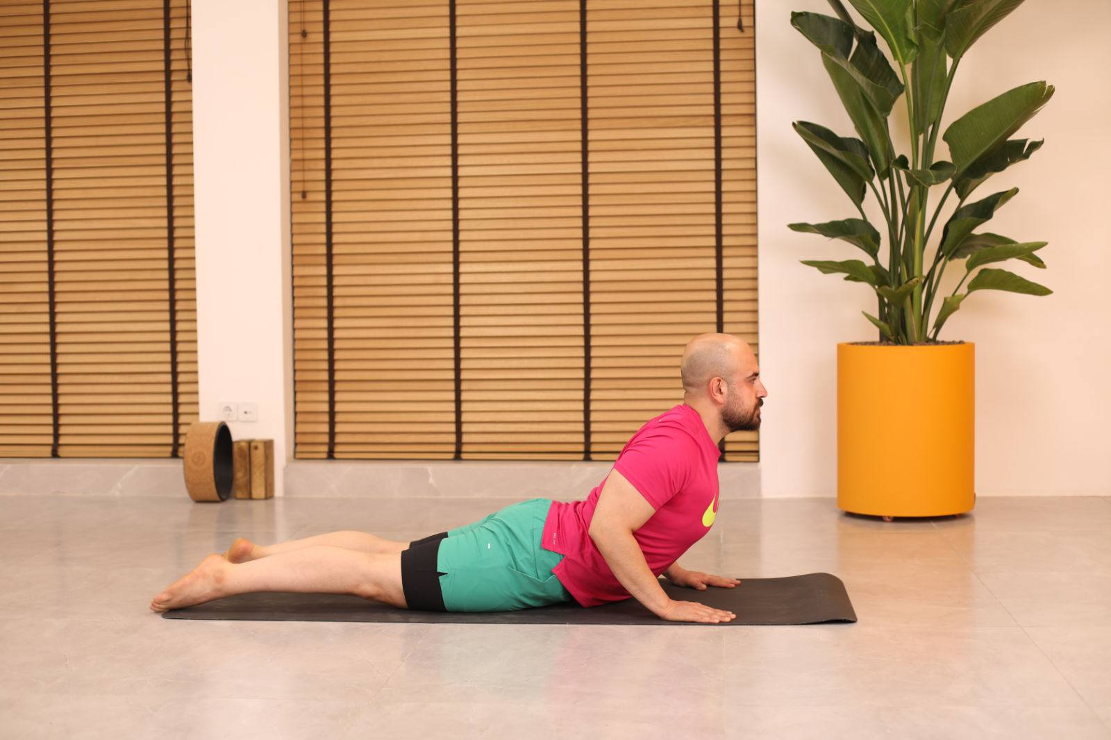 Baby Cobra یا Ardha Bhujangasana با آرنج خم و نزدیک بدن