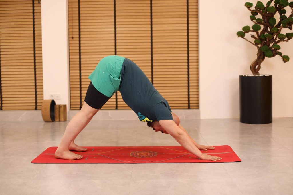 حرکت یوگا سگ سر پایین (Adho Mukha Svanasana)