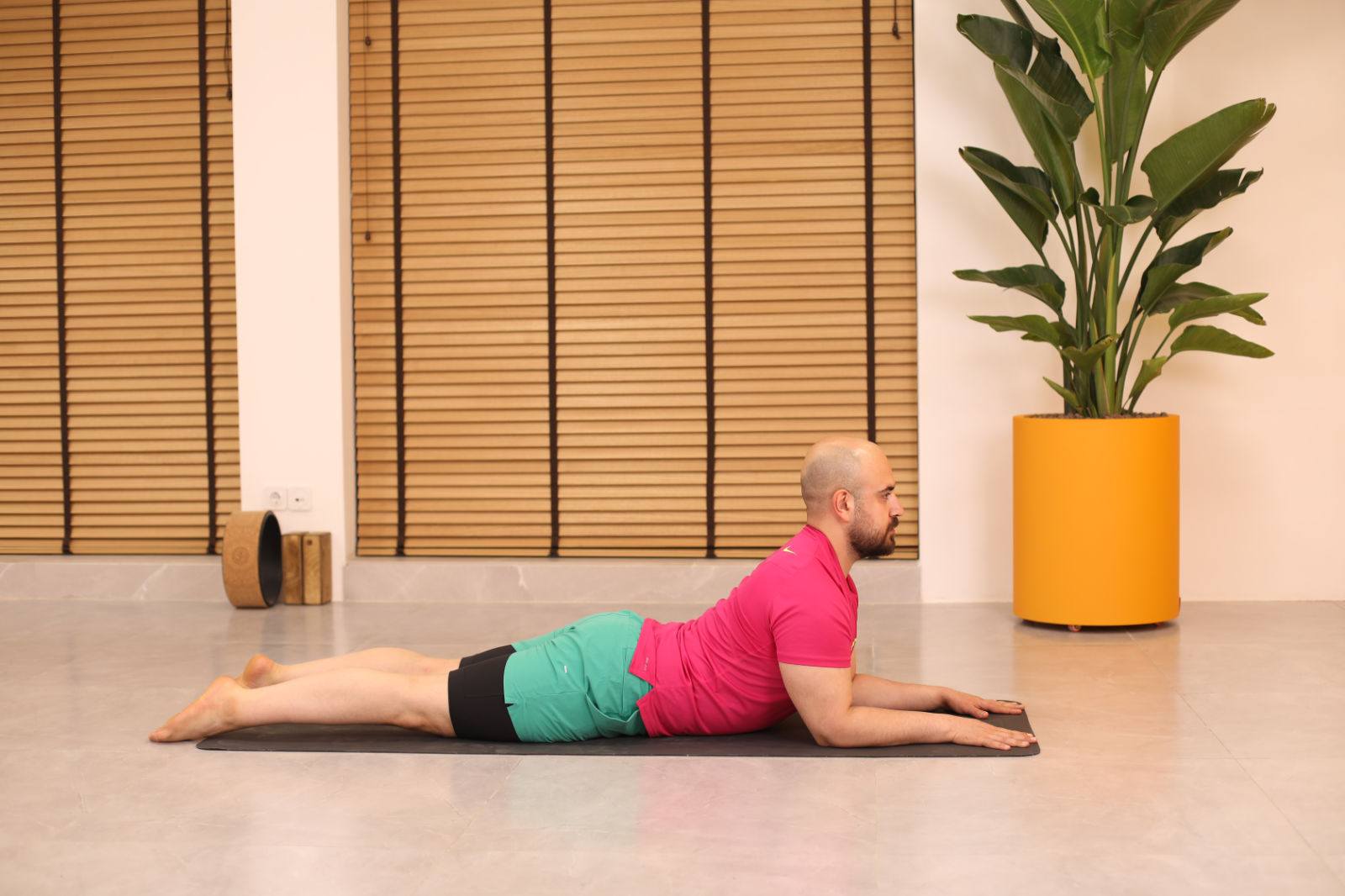 وضعیت ابوالهول Sphinx Pose